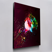 Colorful Rose