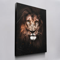 Lion - Fire Eyes