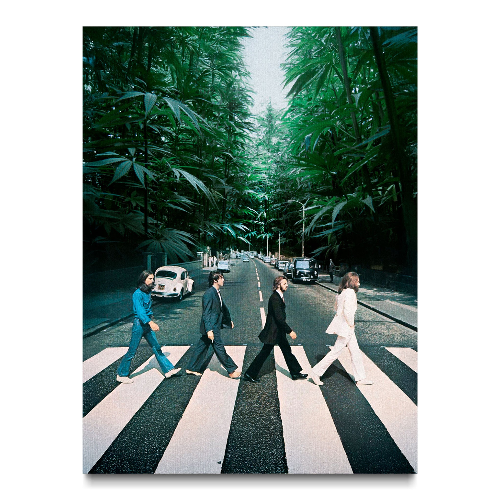 Abbey Road in the Garden