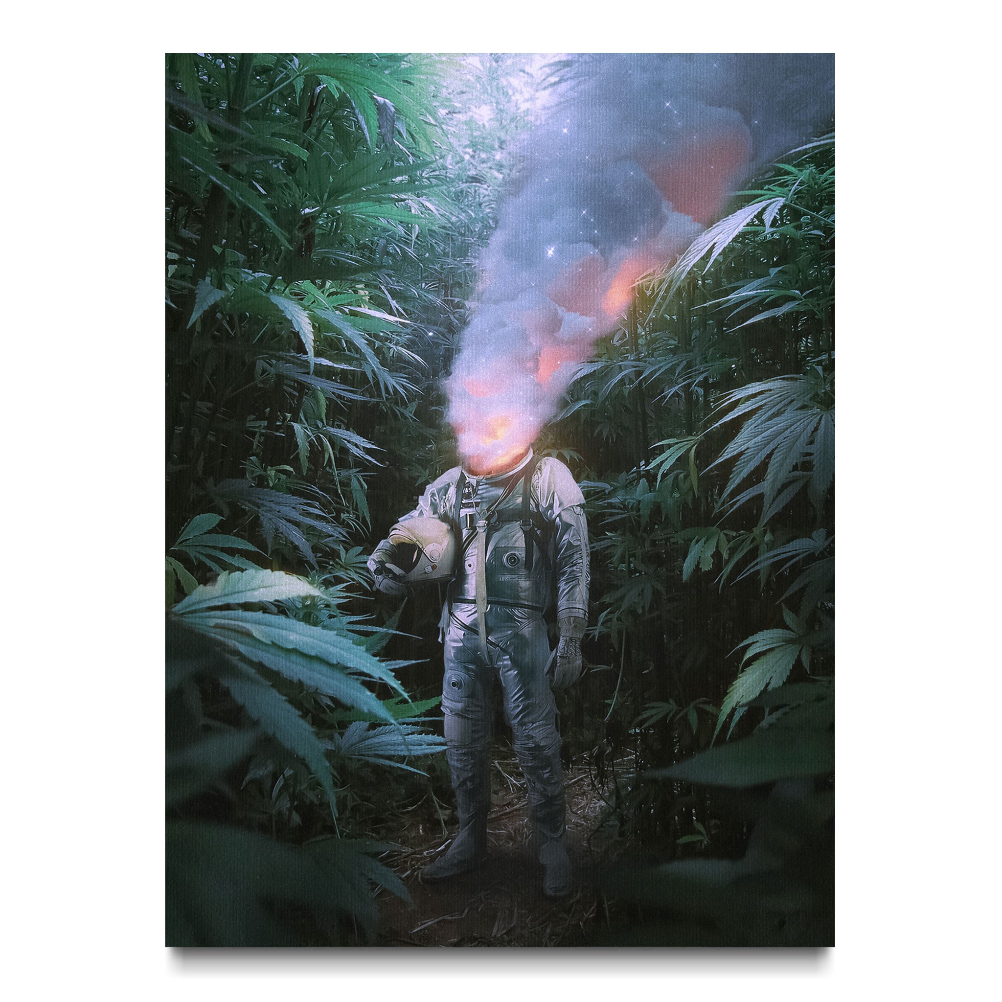 Astronauts Reverie