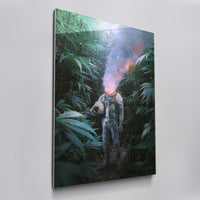 Astronauts Reverie