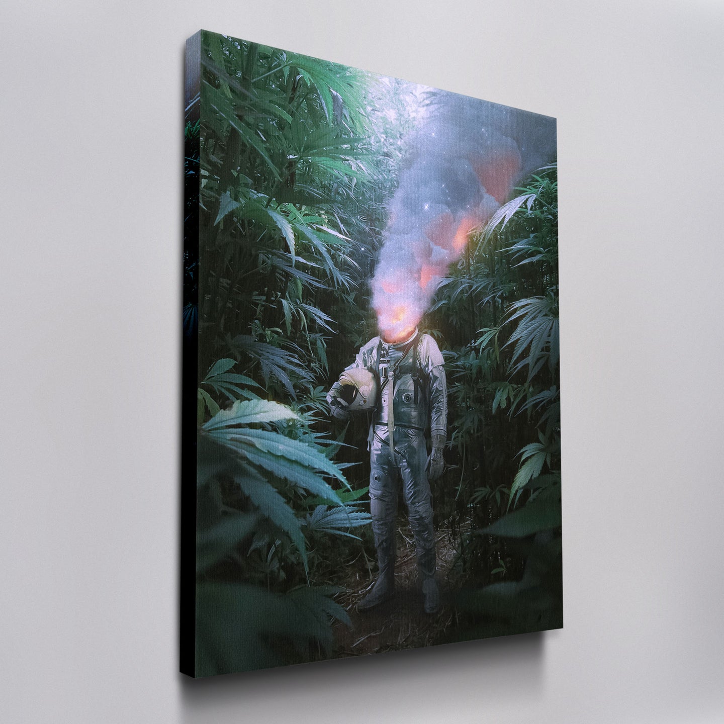 Astronauts Reverie