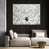 Black Sheep