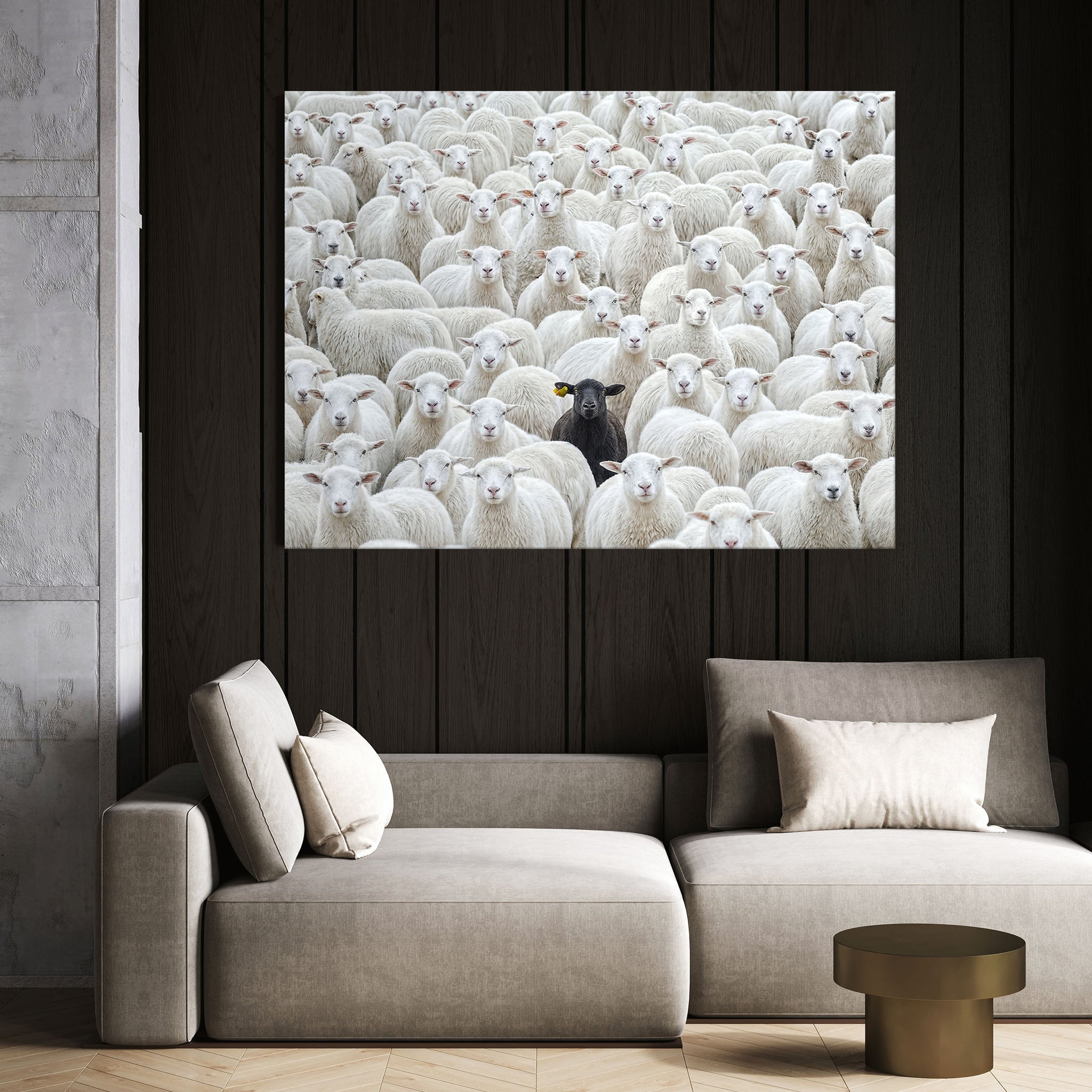 Black Sheep