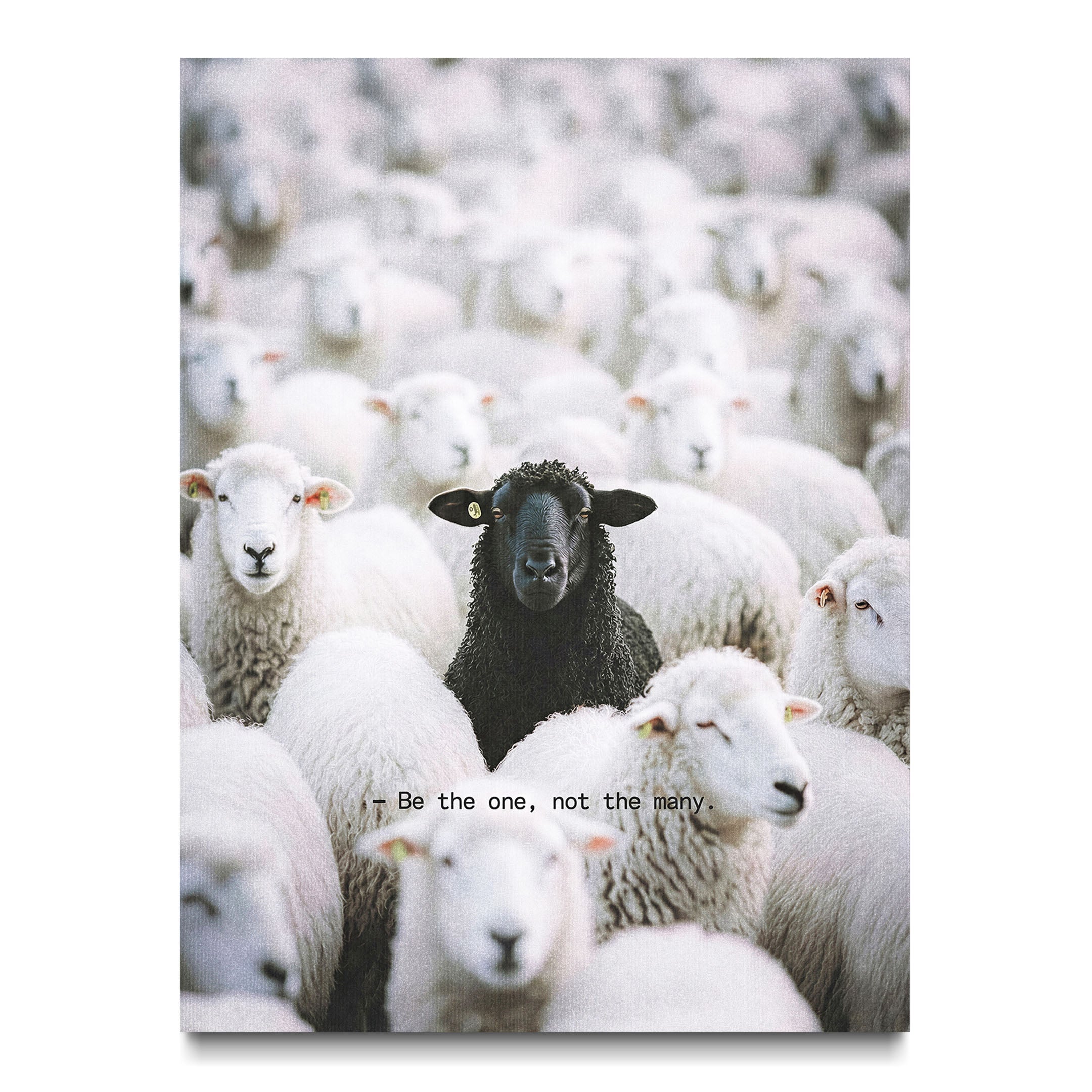Be The One - Black Sheep – Social Culture Art