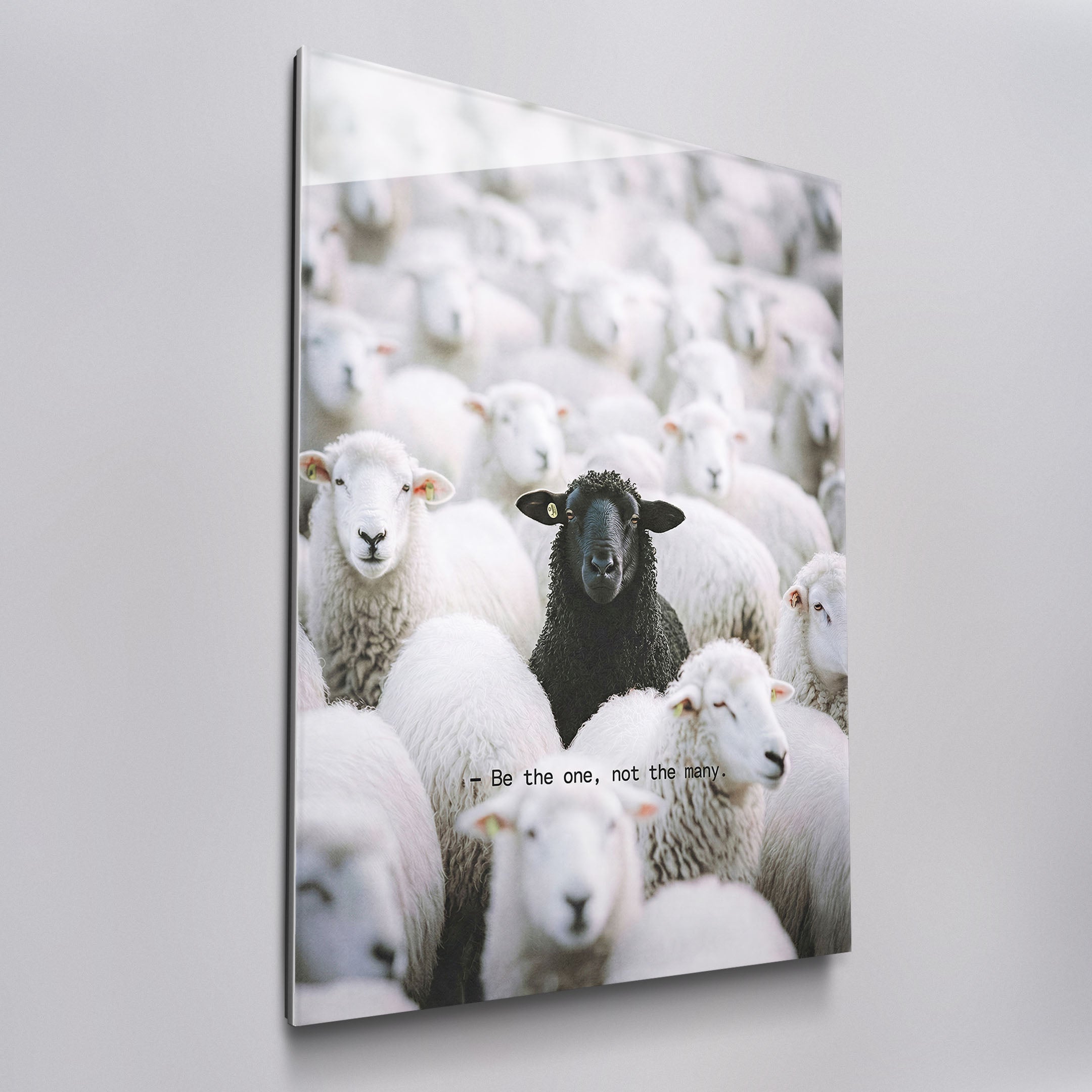 Be The One - Black Sheep – Social Culture Art