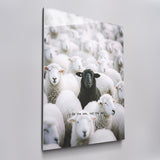 Be The One - Black Sheep