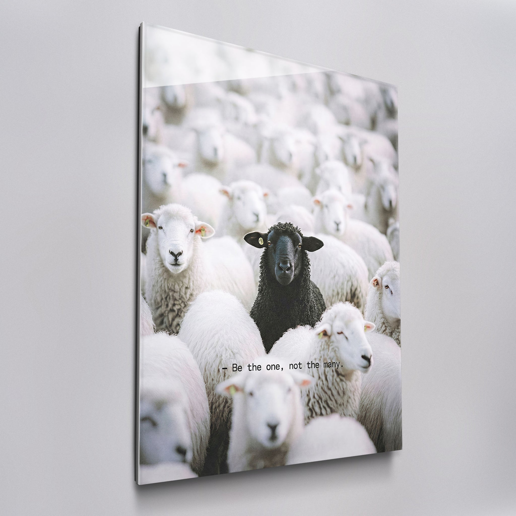 Be The One - Black Sheep