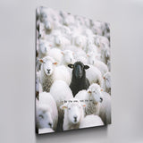 Be The One - Black Sheep