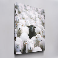 Be The One - Black Sheep