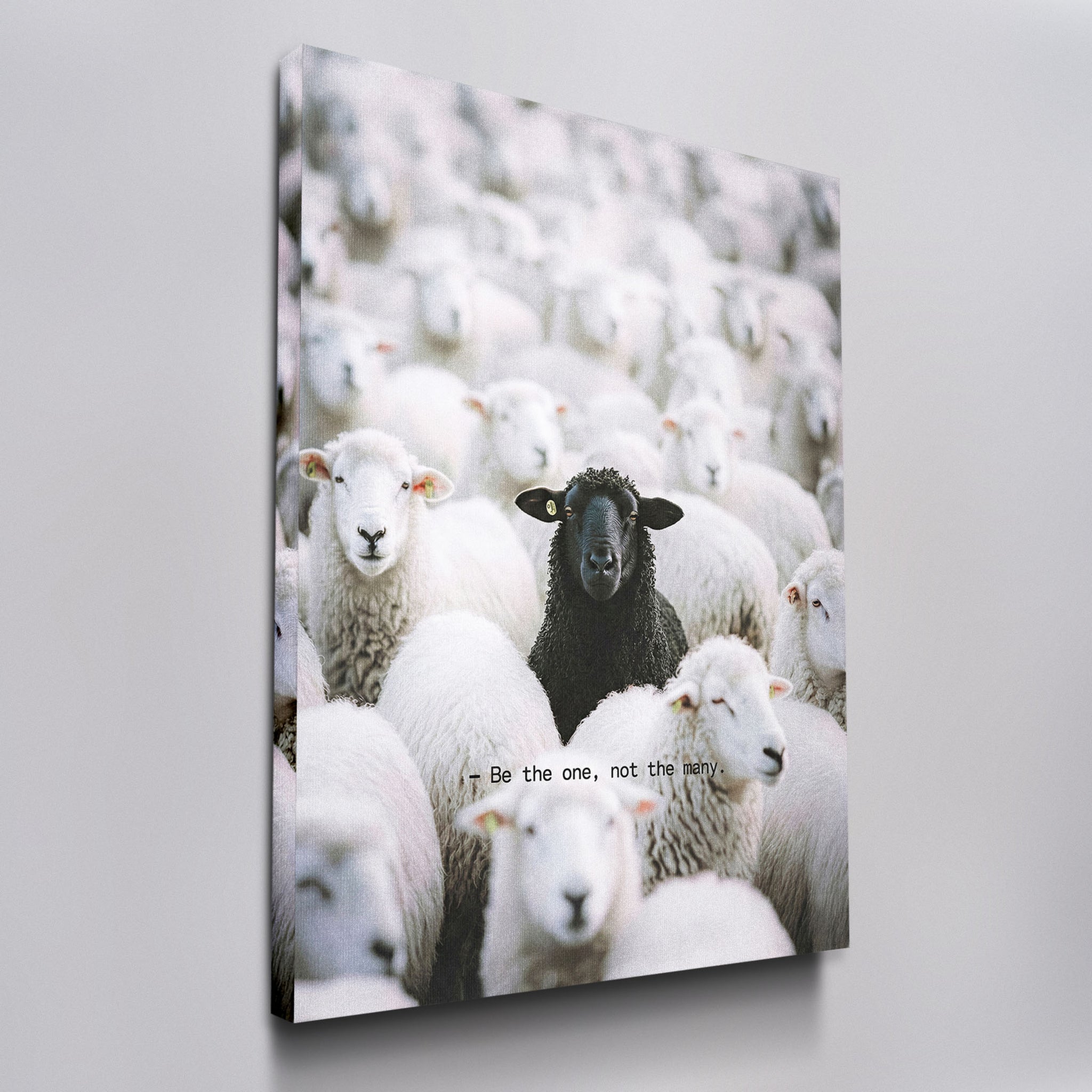 Be The One - Black Sheep