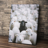 Be The One - Black Sheep