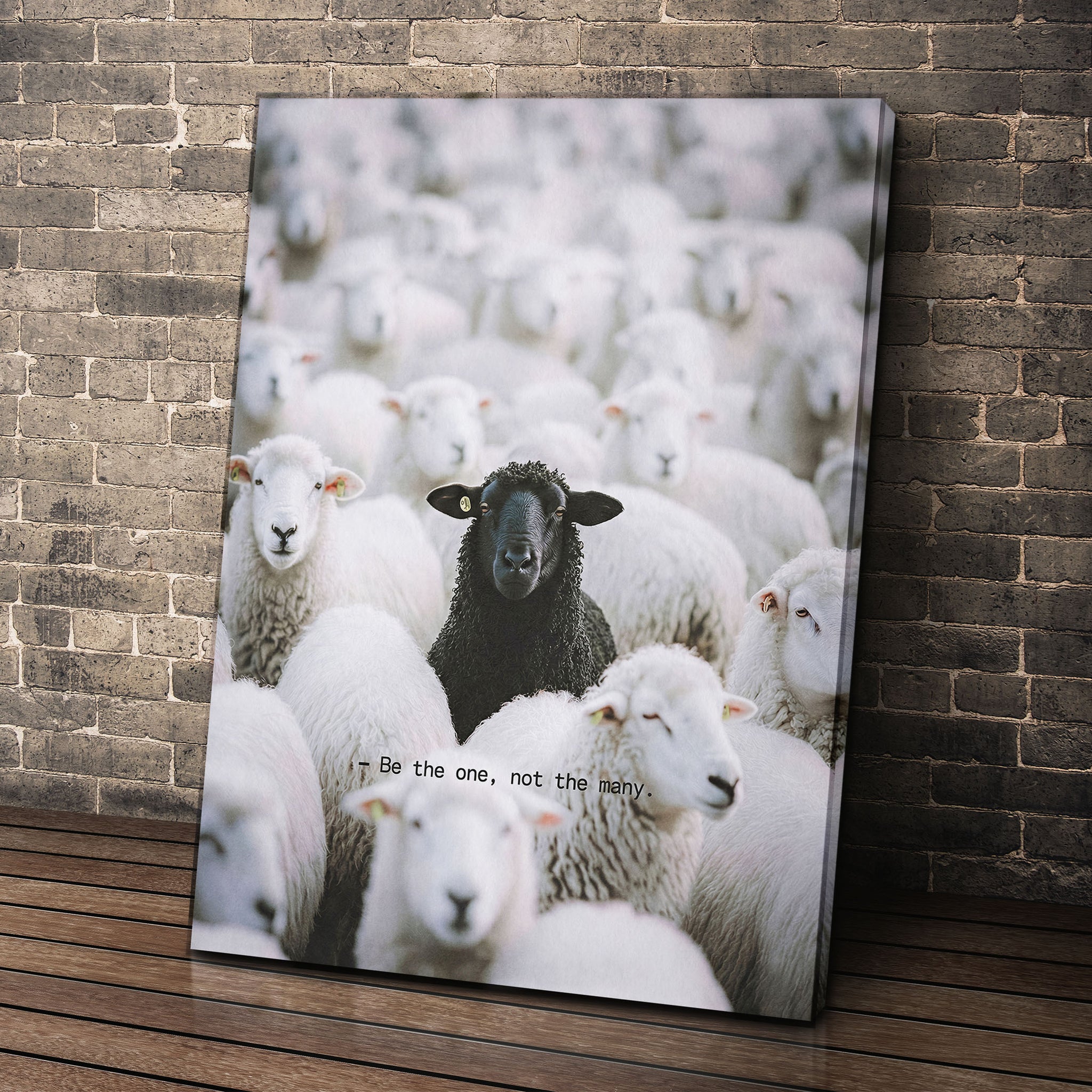 Be The One - Black Sheep