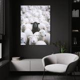 Be The One - Black Sheep