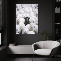 Be The One - Black Sheep