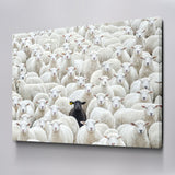 Black Sheep