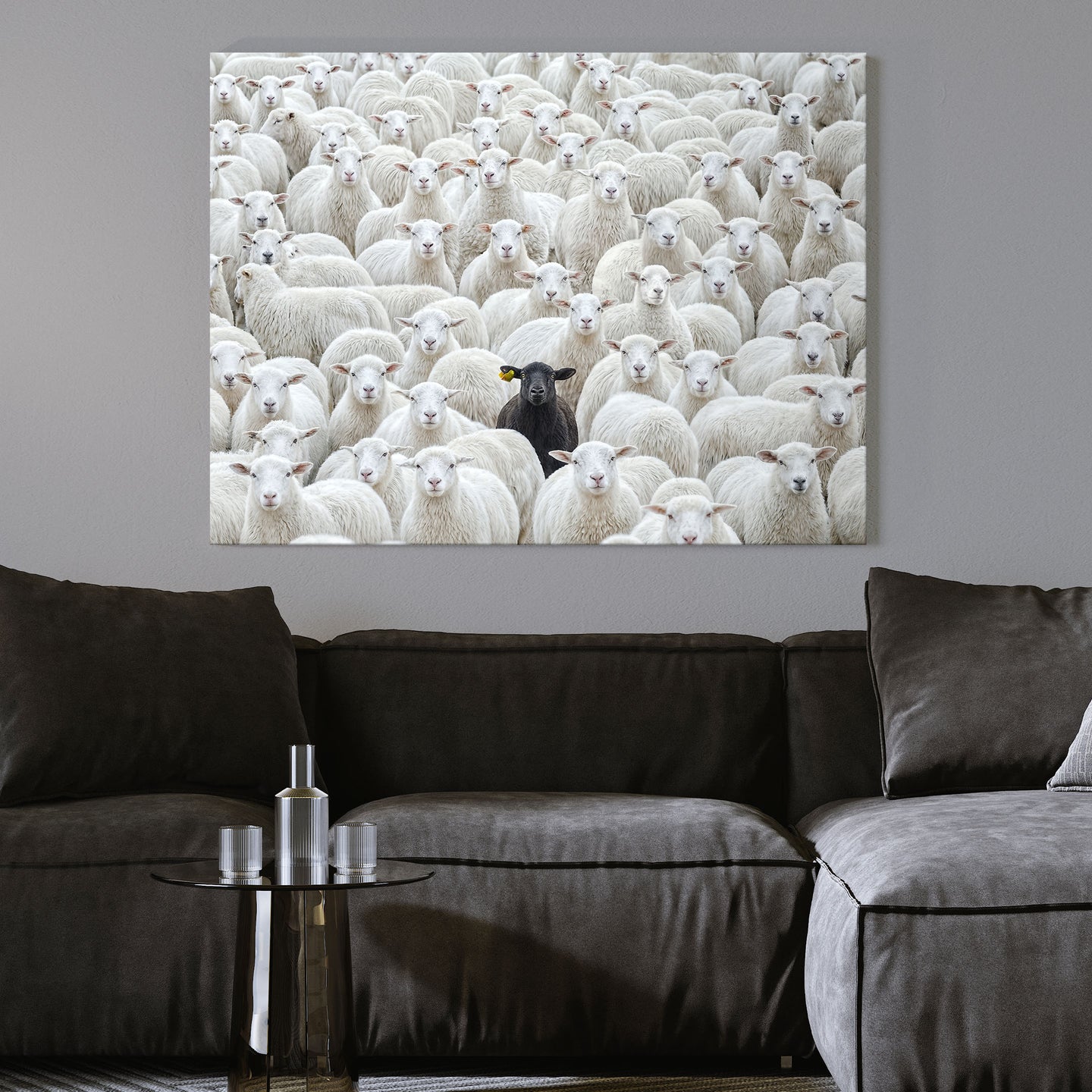 Black Sheep