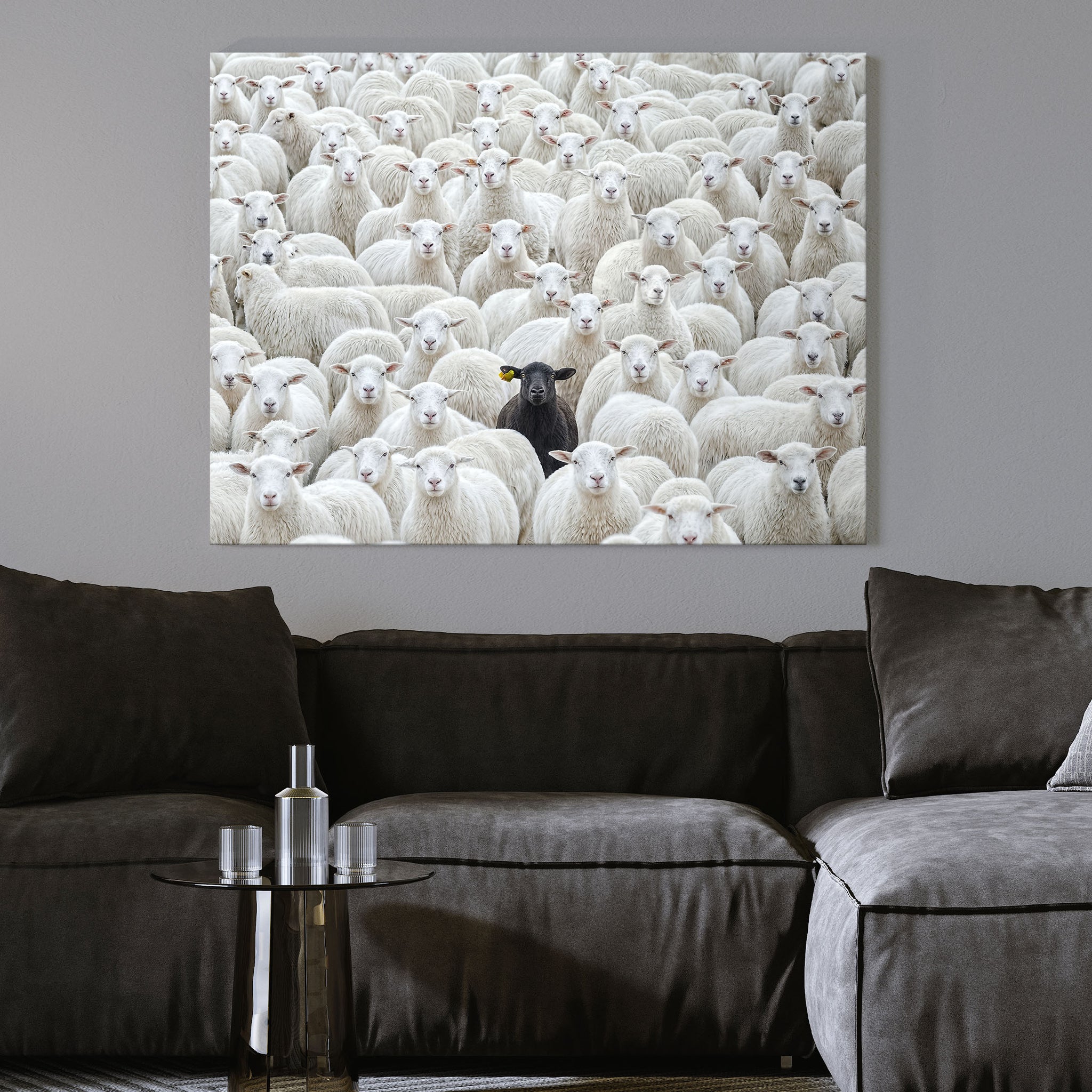 Black Sheep