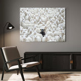 Black Sheep
