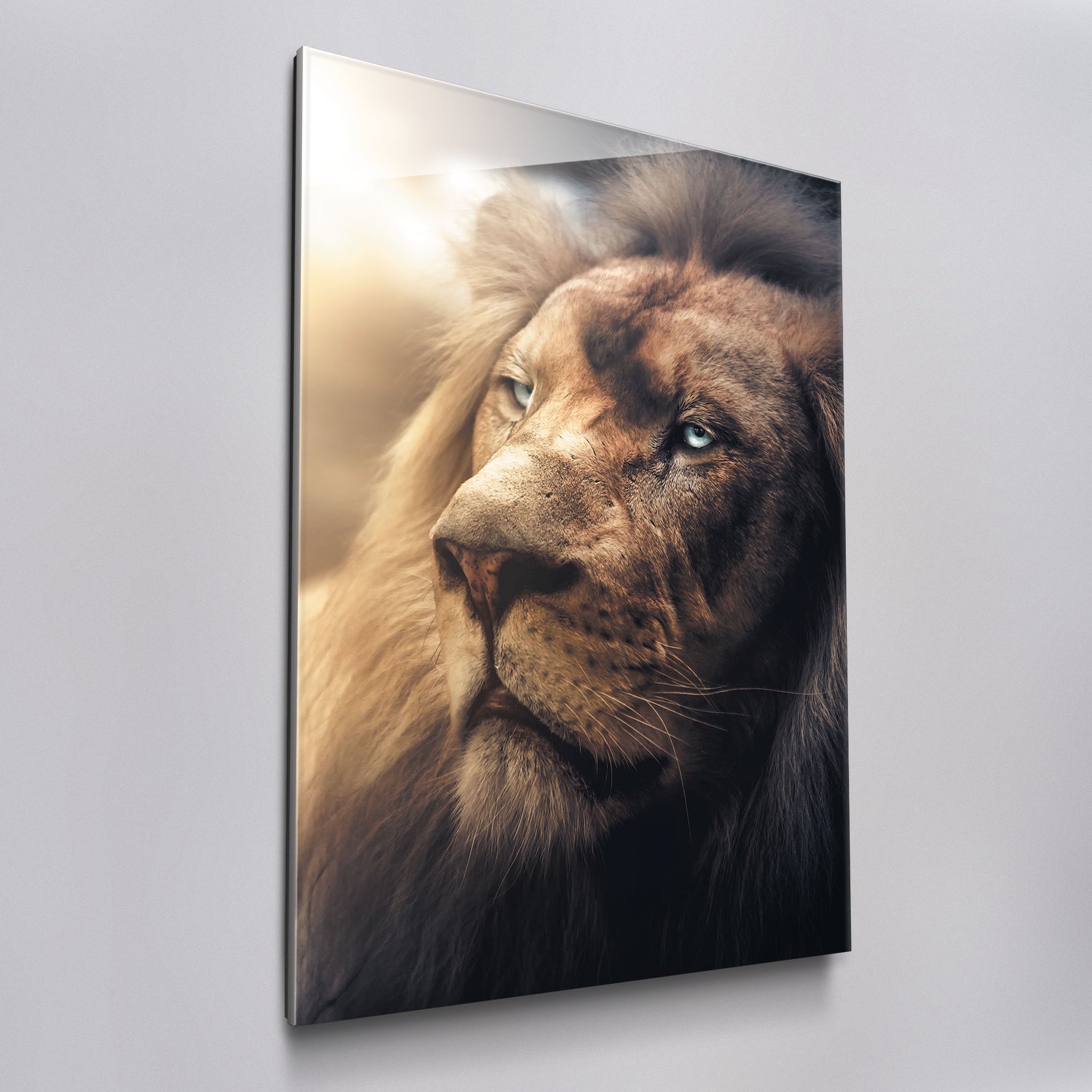 Boss Lion