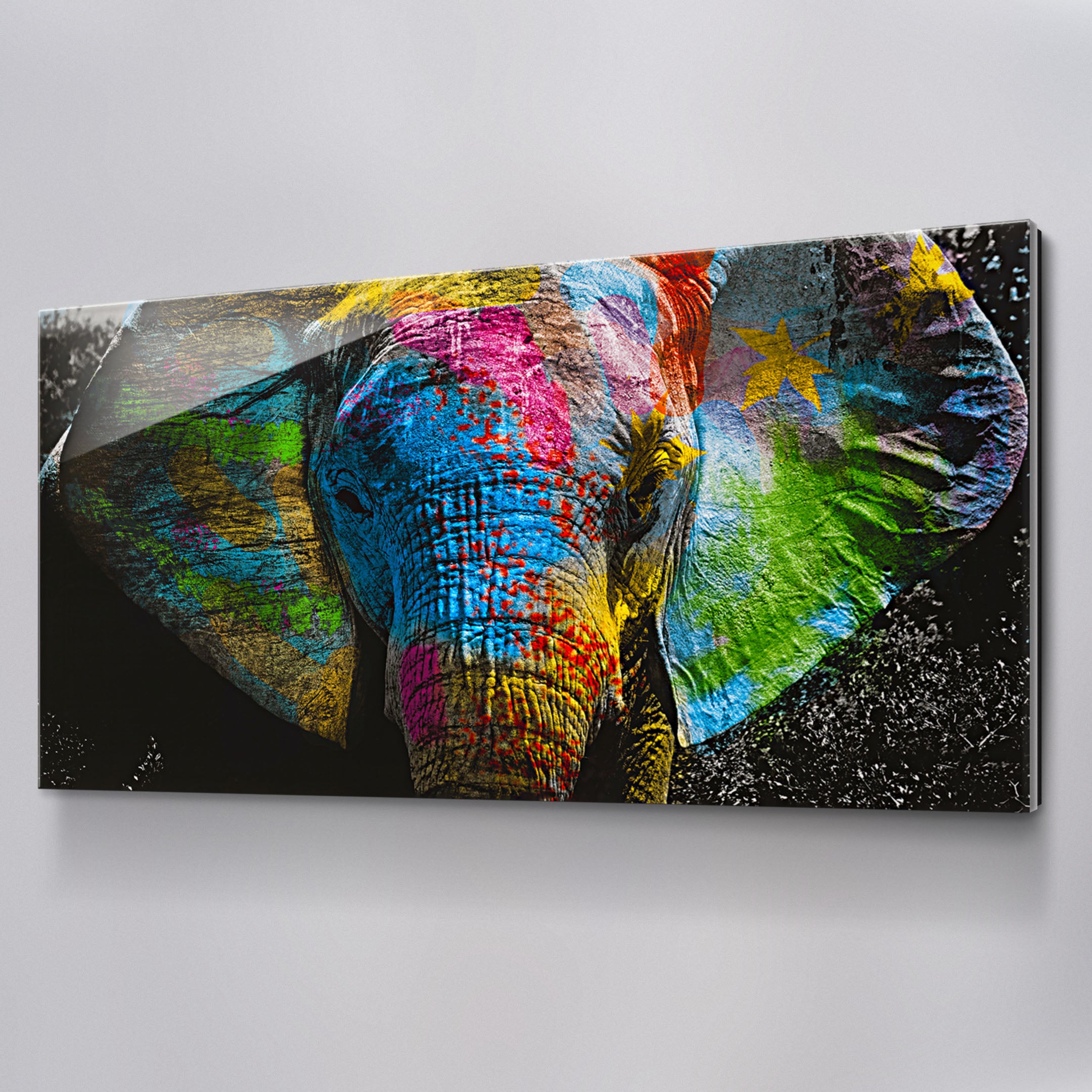 Colorful Elephant – Social Culture Art