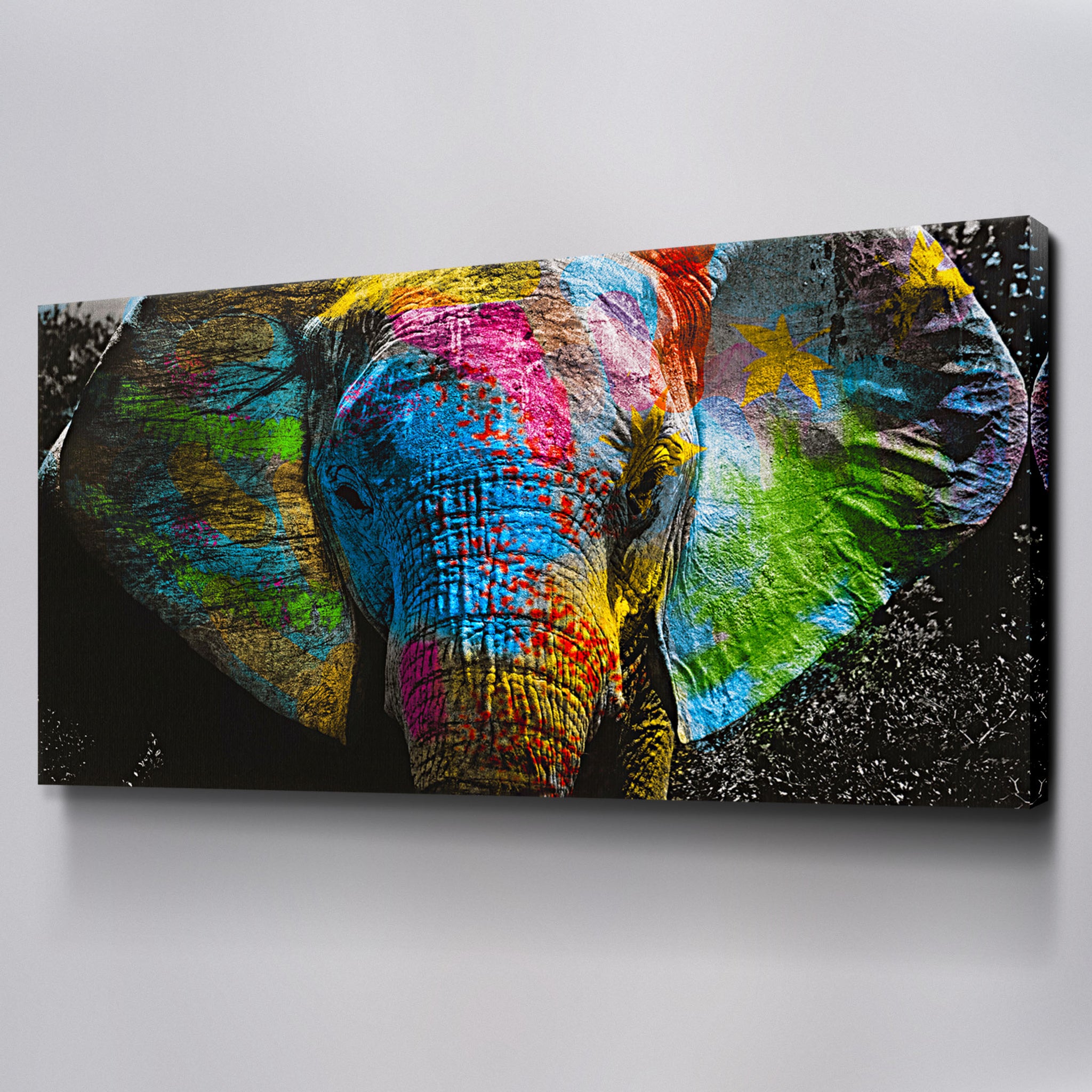 Colorful Elephant