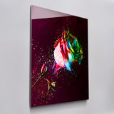 Colorful Rose