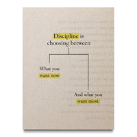 Discipline Decisions