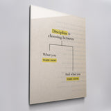Discipline Decisions