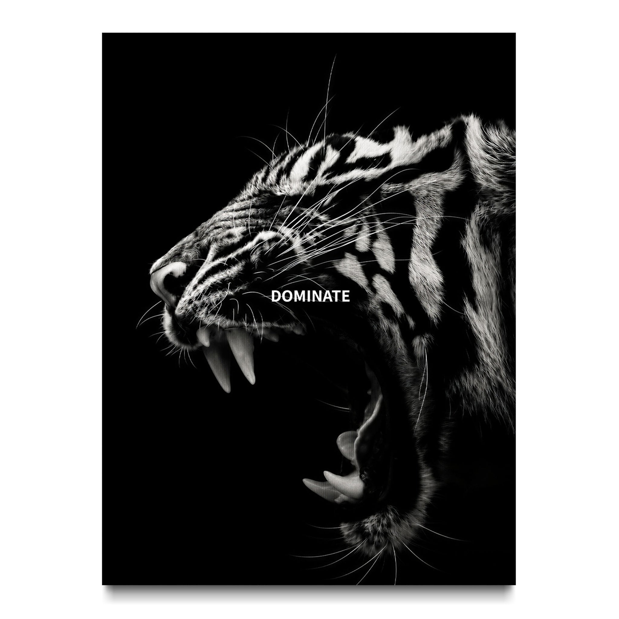 Dominate - Tiger