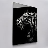 Dominate - Tiger