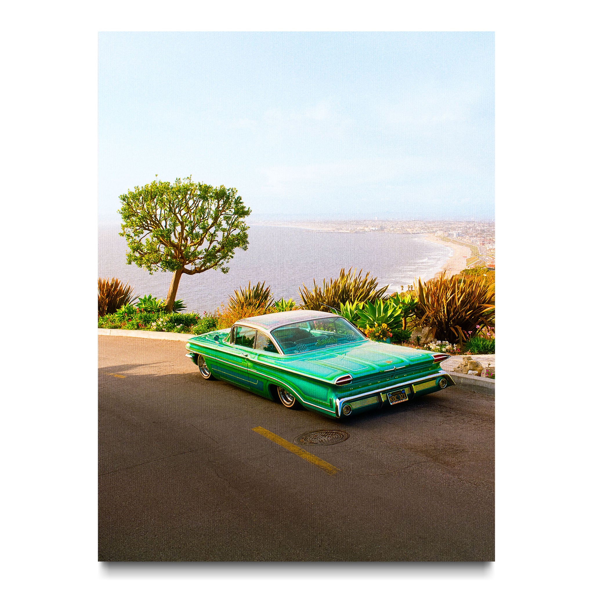 Emerald Horizon