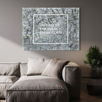 In Case of Emergency, Break Glass