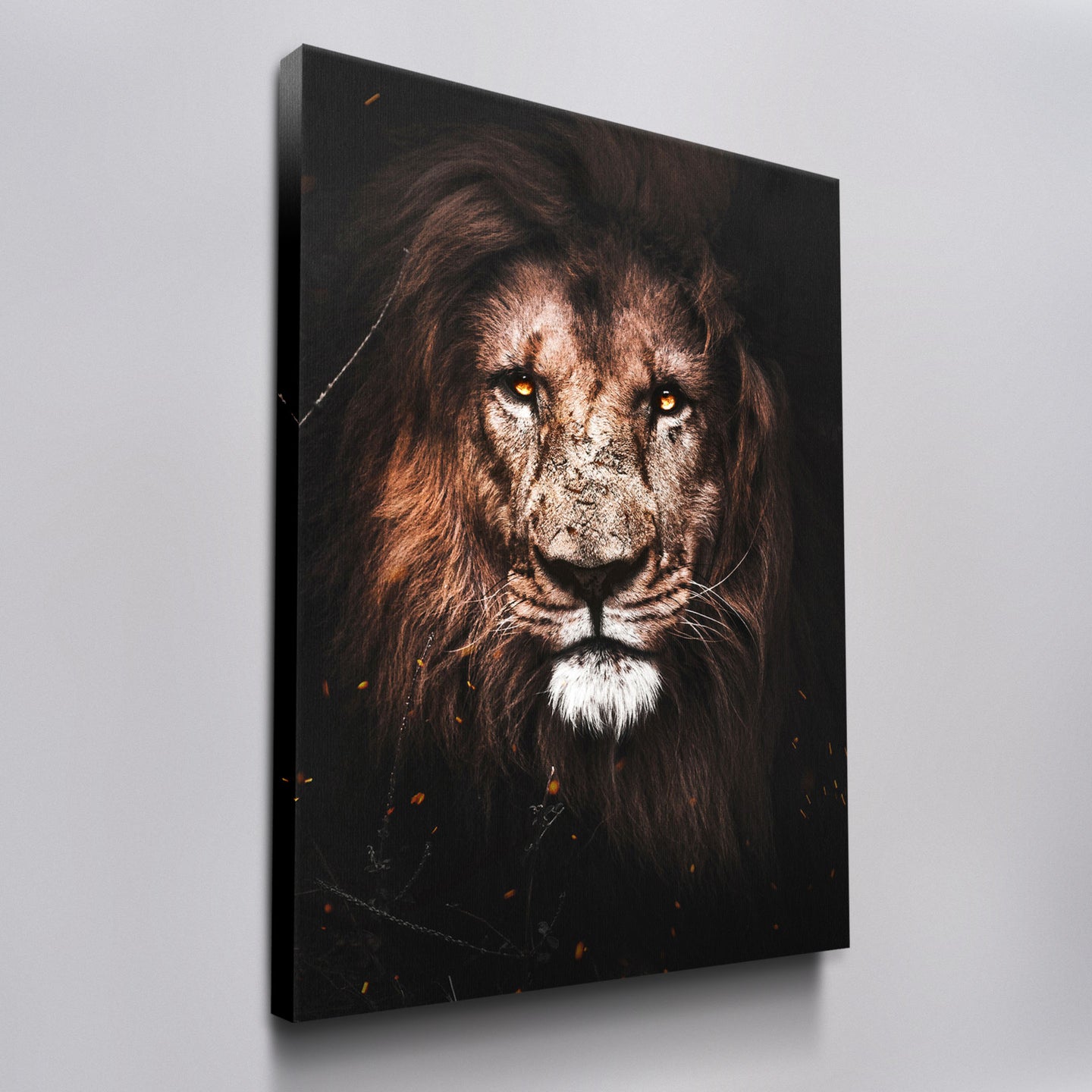 Lion - Fire Eyes