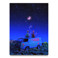 Mystery Under the Stars
