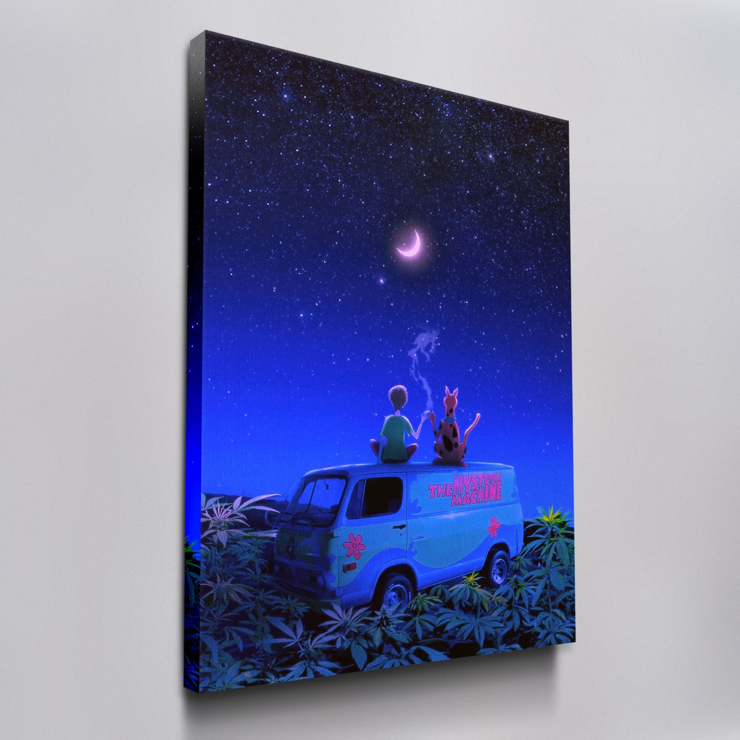 Mystery Under the Stars