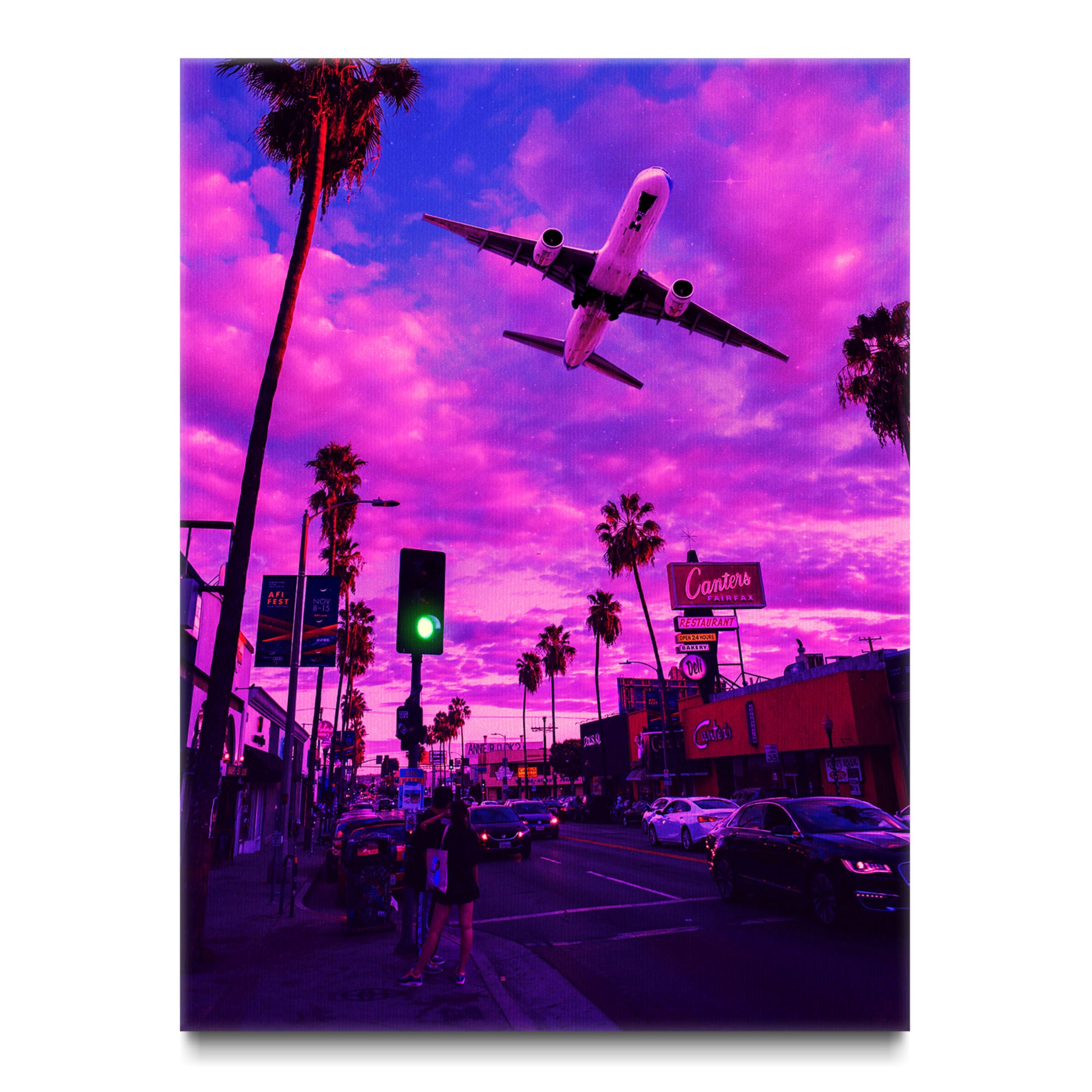 Plane In The Pink Sky