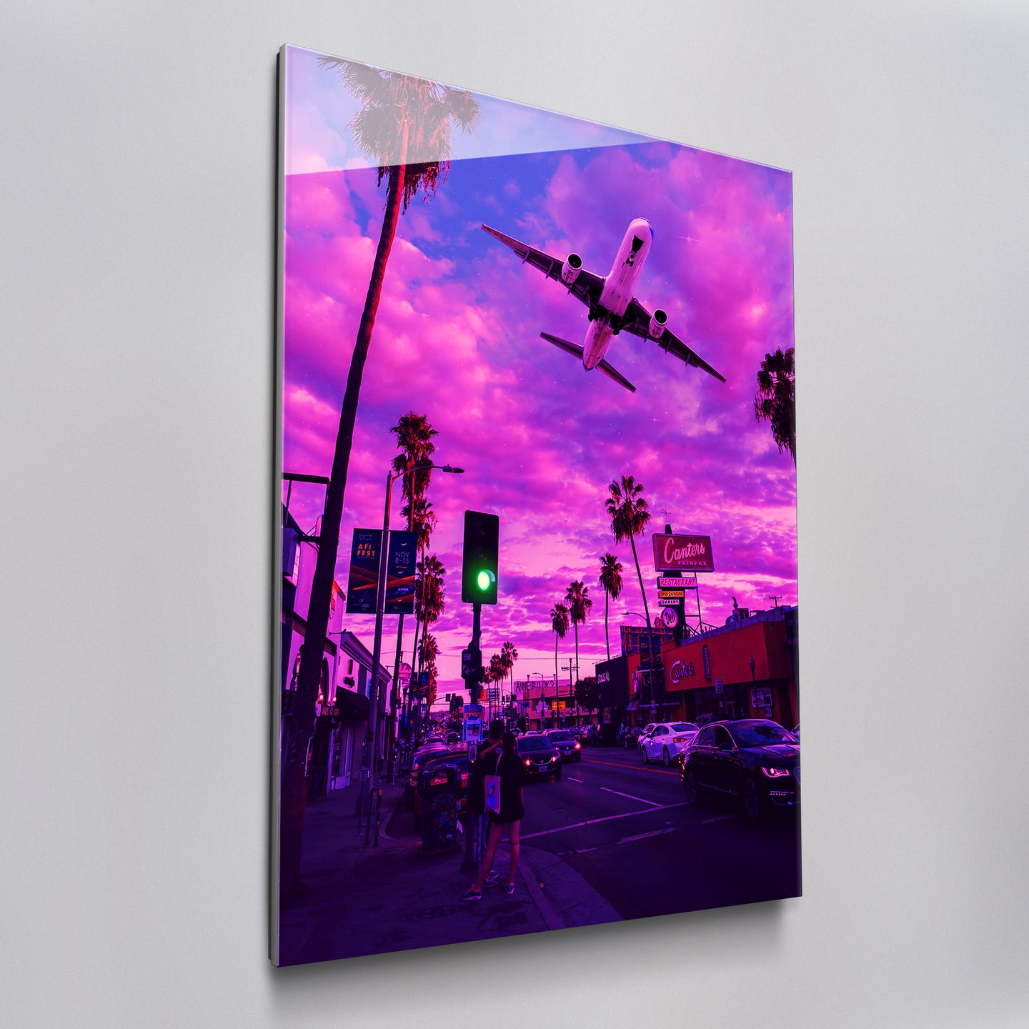 Plane In The Pink Sky