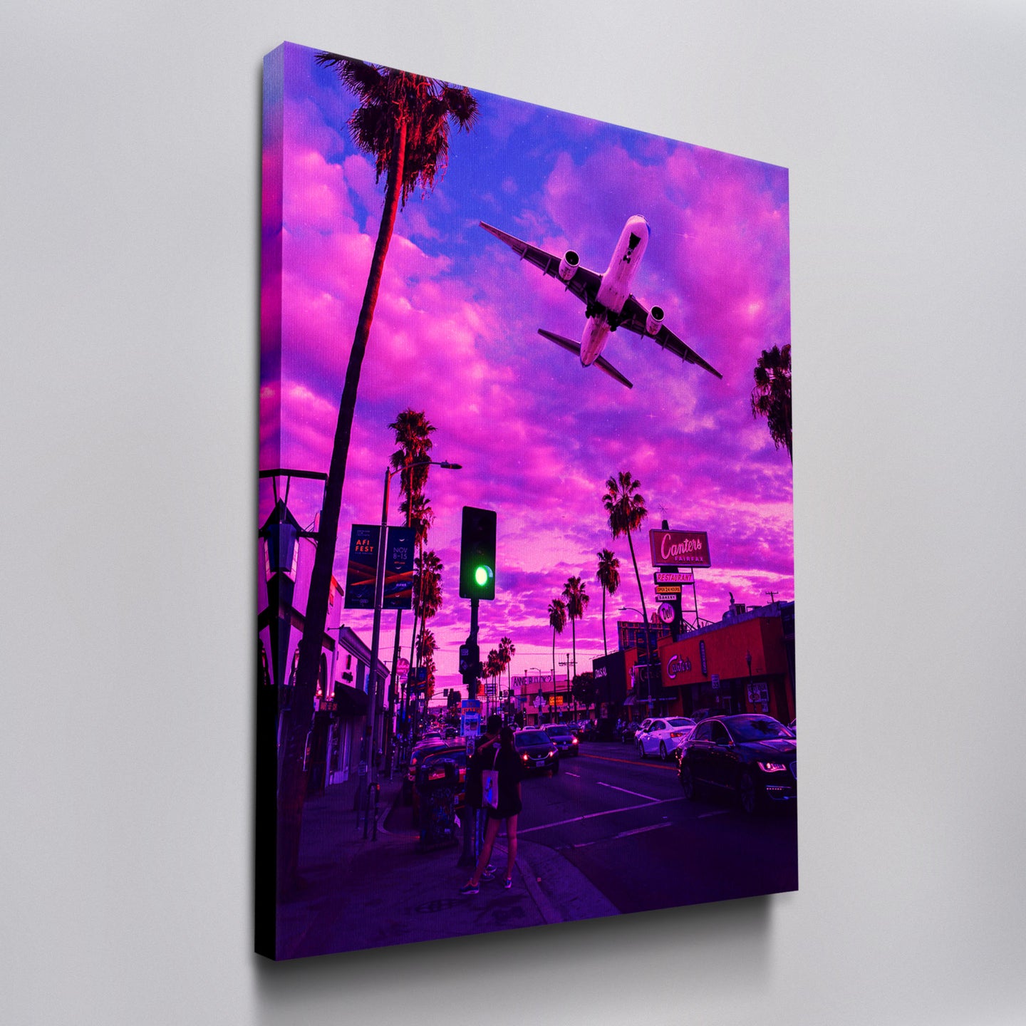 Plane In The Pink Sky