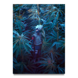 Shinobi in the Forest