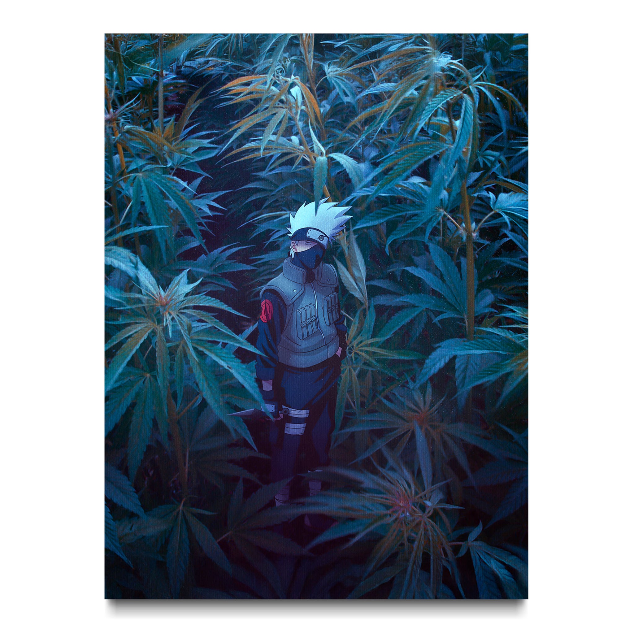 Shinobi in the Forest
