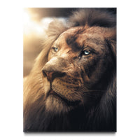 Boss Lion