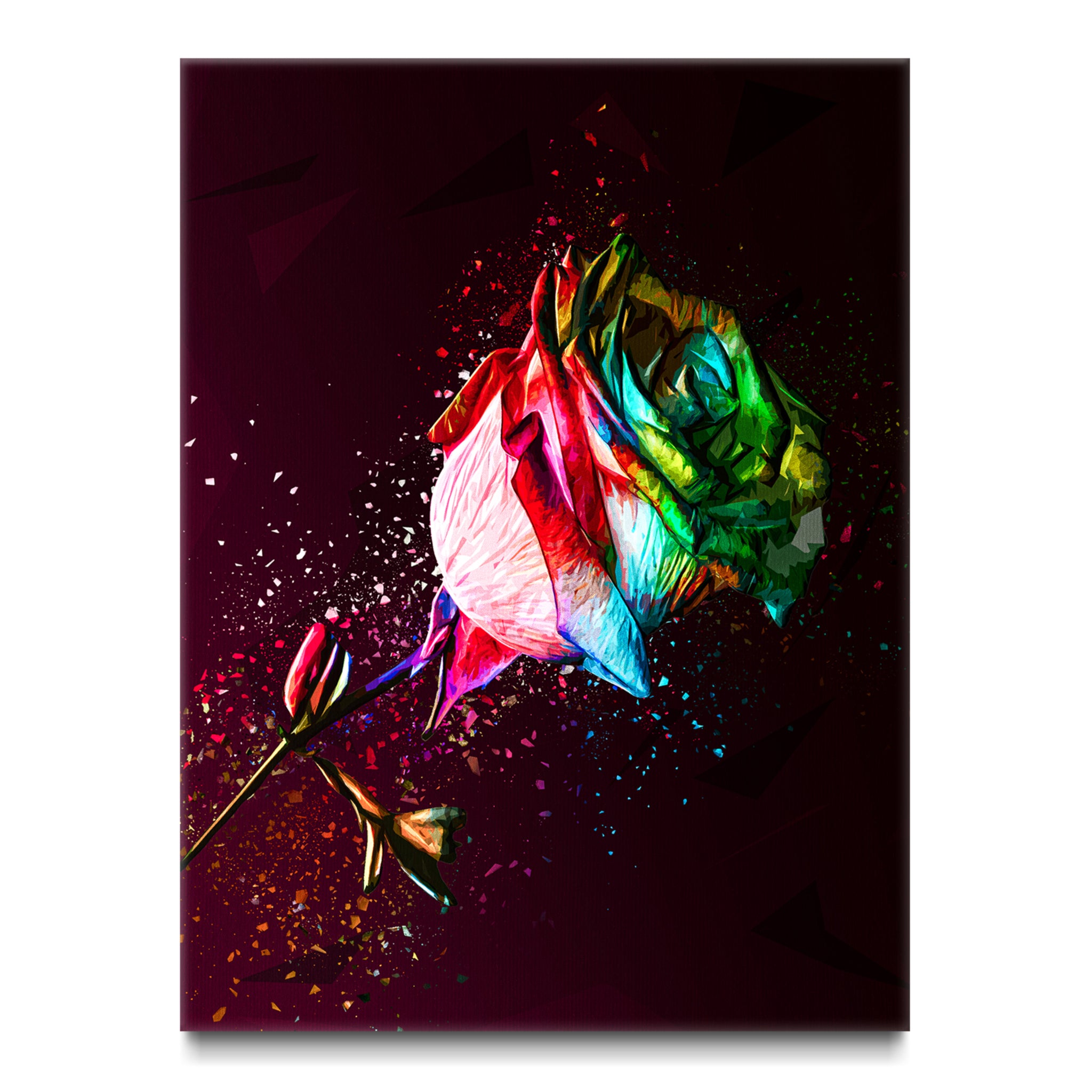 Colorful Rose