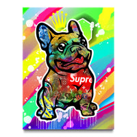 Flyest Frenchie