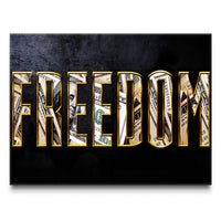 Money is Freedom