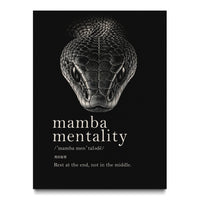 Mamba Mentality - The End