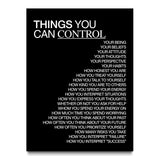 Things You Can Control (Black) canvas wall art, front view