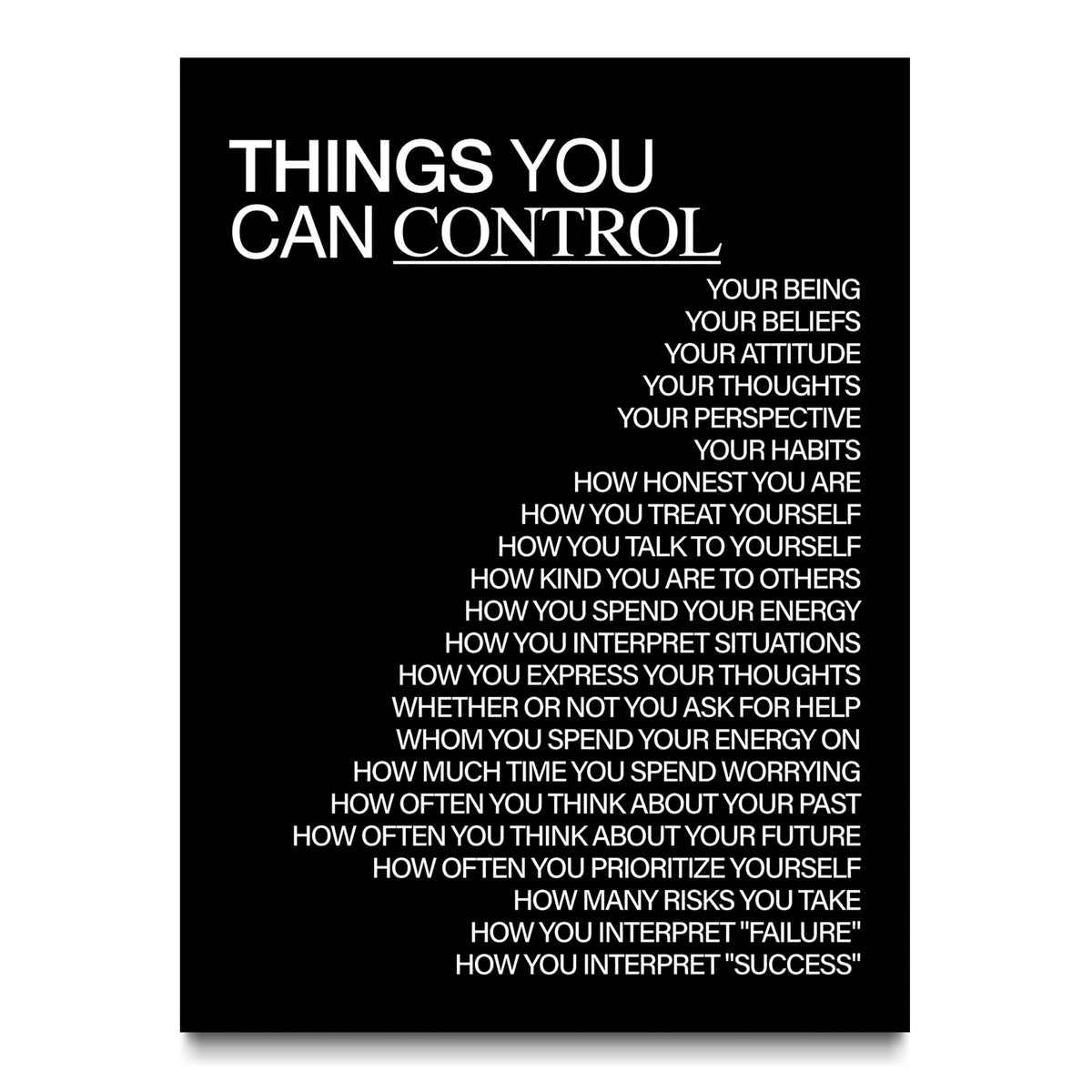 Things You Can Control (Black) canvas wall art, front view
