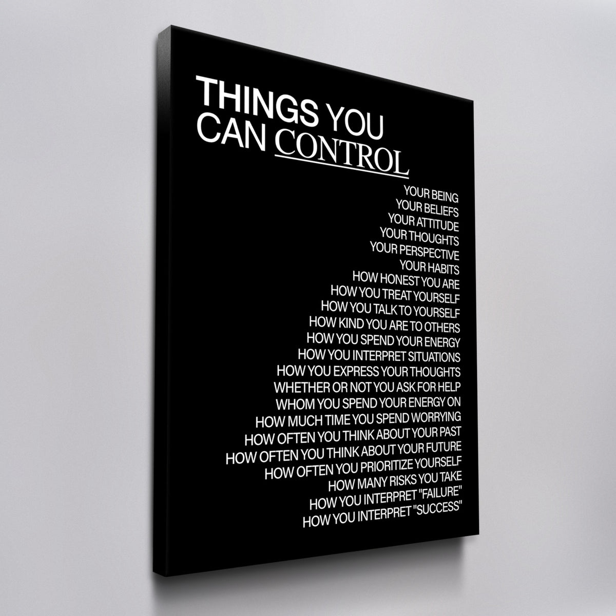 Things You Can Control (Black) canvas wall art, angled view